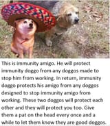 immunity amigo and immunity doggo