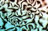 600px-Nematische_Phase_Schlierentextur