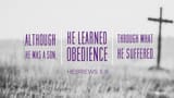 EN_Hebrews_5_8