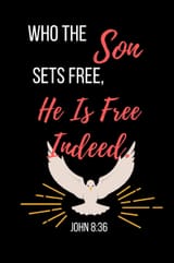 who the Son sets free