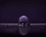 dune-grimace