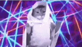epic-cat