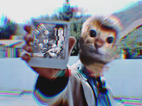 output (memento )