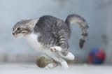 output (speed running ng)