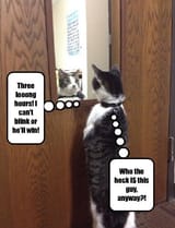 output (the-king-of-staring-contests-has-met-his-match)