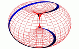 torus