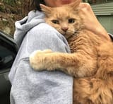output (hug)