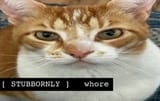 FWe6FBJUIAE2t9b