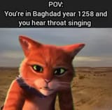 cccc