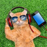 istockphoto-512291806-612x612