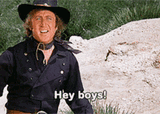 hey-boys-cowboy