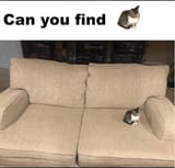 1711480215371735