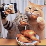 images (80)