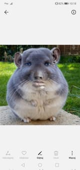 GbrwfPZboAEzRAy