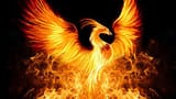images(1)