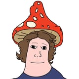 shroomjak-