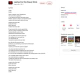 Lashedtotheslavestick