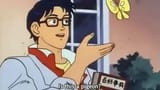 is this a pigeon