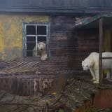images (15)