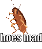 1750436406792953