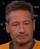 david