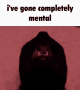 I&#039;ve gone completely mental