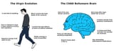 Evolution-Brain-Chad-Virgin