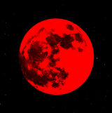 tumblr_19df5d095b41e23a00c4dd17435f8ec9_d1a4e366_640