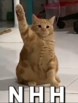 1747891185781432