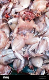 skinned-frogs-on-sale-in-market-hanoi-C9AYT3