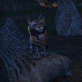 Skooma_Cat