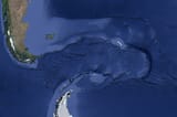 Sandwich Islands snake