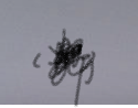 shadowcreatue