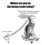 Bunny-scale