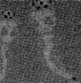 1748810055738351