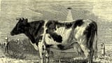 Monroe_ufo_cow1-843900812