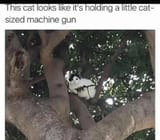 Ready for war