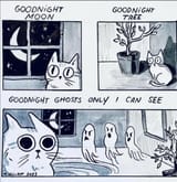 I see you