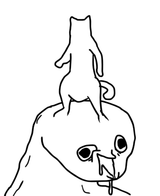55555
