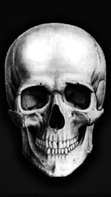 skull2
