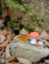 aberfoyle_1