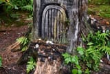 aberfoyle_7