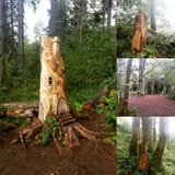 aberfoyle_8