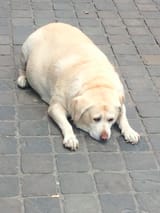 1748644838079147