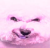 1748563255070722