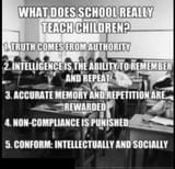 what does school really teach children