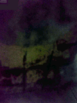 image (1)