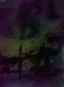 1750627290904428s (1)