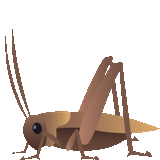 Thread 40583249 OP Image