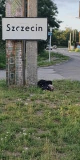 szczecin menel